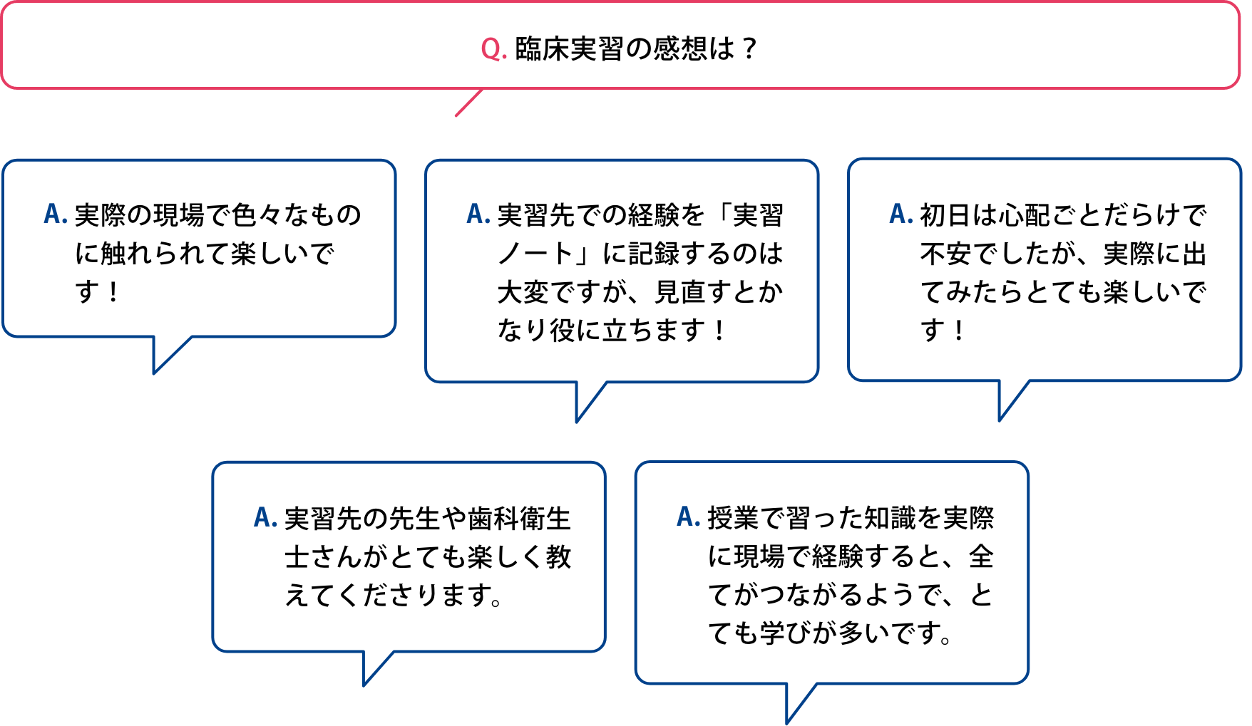 臨床実習の感想は？